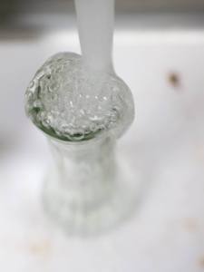 13045658_10209561549861530_851281689_n